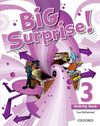 BIG SURPRISE 3 ACTIVITY BOOK