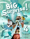 BIG SURPRISE 4 ACTIVITY BOOK