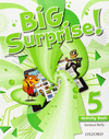 BIG SURPRISE 5: ACTIVITY BOOK + MULTI-ROM PACK