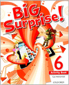 BIG SURPRISE 6. ACTIVITY BOOK AND MULTI-ROM PACK
