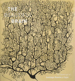 BEAUTIFUL BRAIN, THE - THE DRAWINGS OF SANTIAGO RAMÓN Y CAJAL (FEBRERO 2017)