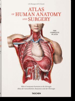 BOURGERY. ATLAS OF HUMAN ANATOMY AND SURGERY