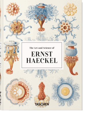 THE ART AND SCIENCE OF ERNST HAECKEL