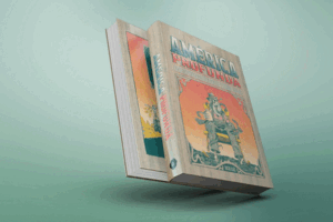 AMÉRICA PROFUNDA