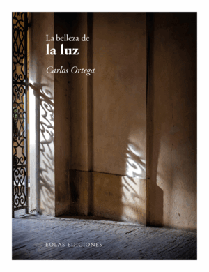 BELLEZA DE LA LUZ, LA