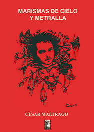 MARISMAS DE CIELO Y METRALLA