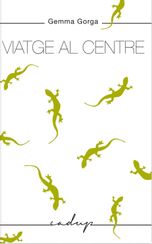 VIATGE AL CENTRE