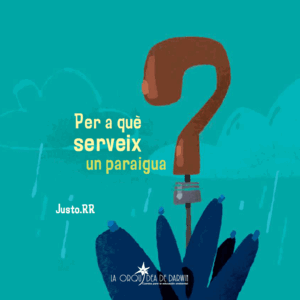 PER A QUÈ SERVEIX UN PARAIGUA?
