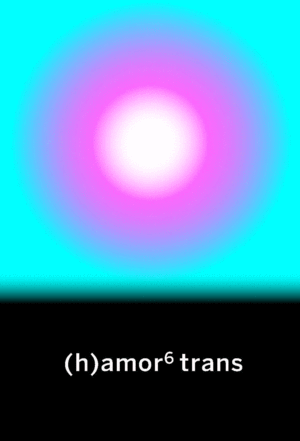 (H) AMOR 6 TRANS
