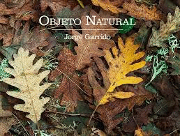 OBJETO NATURAL