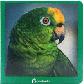 VERDE 39