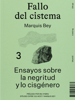 FALLO DEL CISTEMA