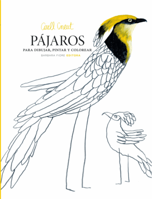 PAJAROS PARA DIBUJAR, PINTAR Y COLOREAR