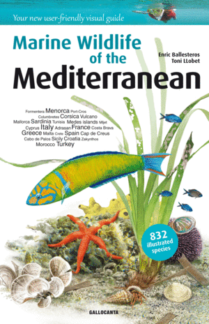 MEDITERRANEAN - MARINE WILDLIFE