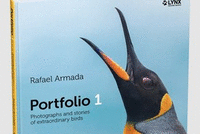 PORTFOLIO 1 (INGLES)