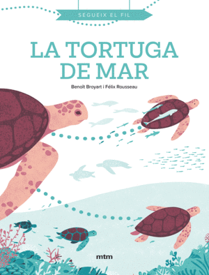 LA TORTUGA DE MAR