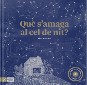 QUÈ S'AMAGA AL CEL DE NIT?