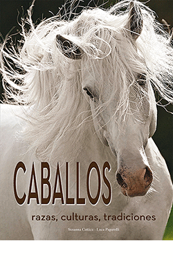 CABALLOS