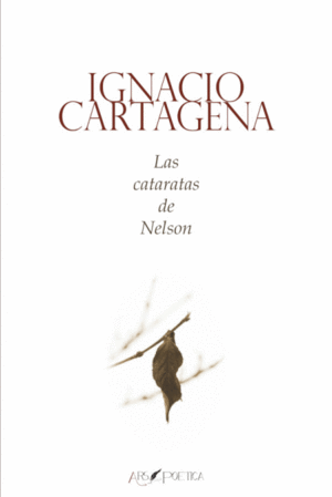 LAS CATARATAS DE NELSON