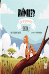 ANIMALES QUE NO DAN MIEDO: BOA