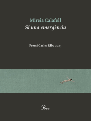 PREMI CARLES RIBA 2024