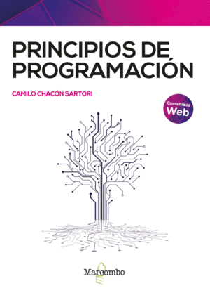 PRINCIPIOS DE PROGRAMACION