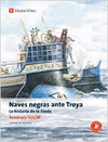 NAVES NEGRAS ANTE TROYA