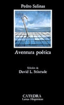 AVENTURA POETICA