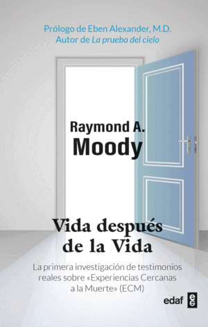 VIDA DESPÚES DE LA VIDA