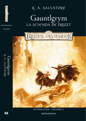 NEVERWINTER:GAUNTLGRYM