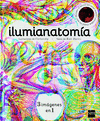 ILUMIANATOMIA