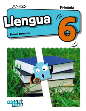 LLENGUA 6.
