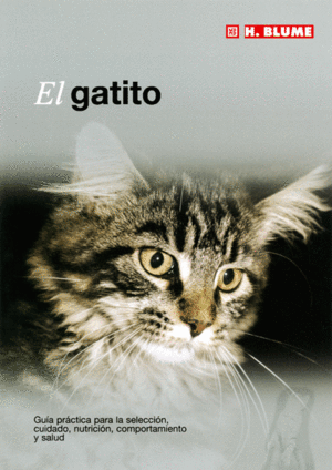 EL GATITO