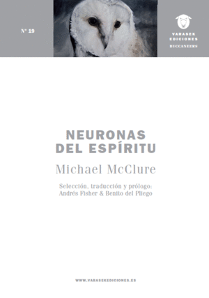 NEURONAS DEL ESPÍRITU