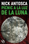 PÍCNIC A LA LUZ DE LA LUNA