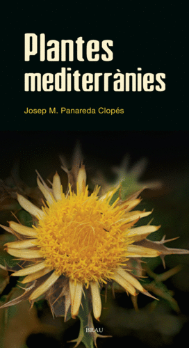 PLANTES MEDITERRANIES