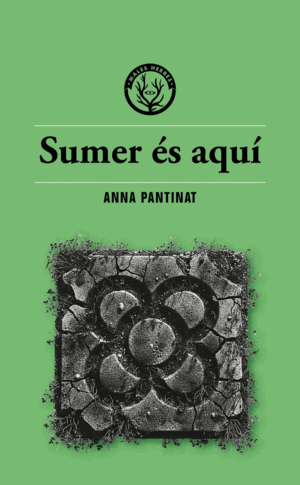 SUMER ES AQUI