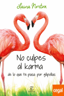 NO CULPES AL KARMA DE LO QUE TE PASA POR GILIPOLLAS